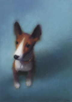 バセンジーは哀しみの犬